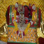 Vraj-Yatra-2014- (1441)